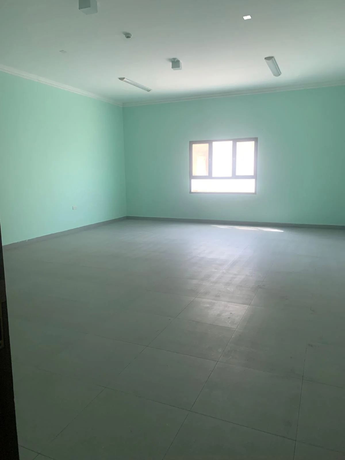 WhatsApp Image 2026-03-26 at 1.10.30 AM (1)