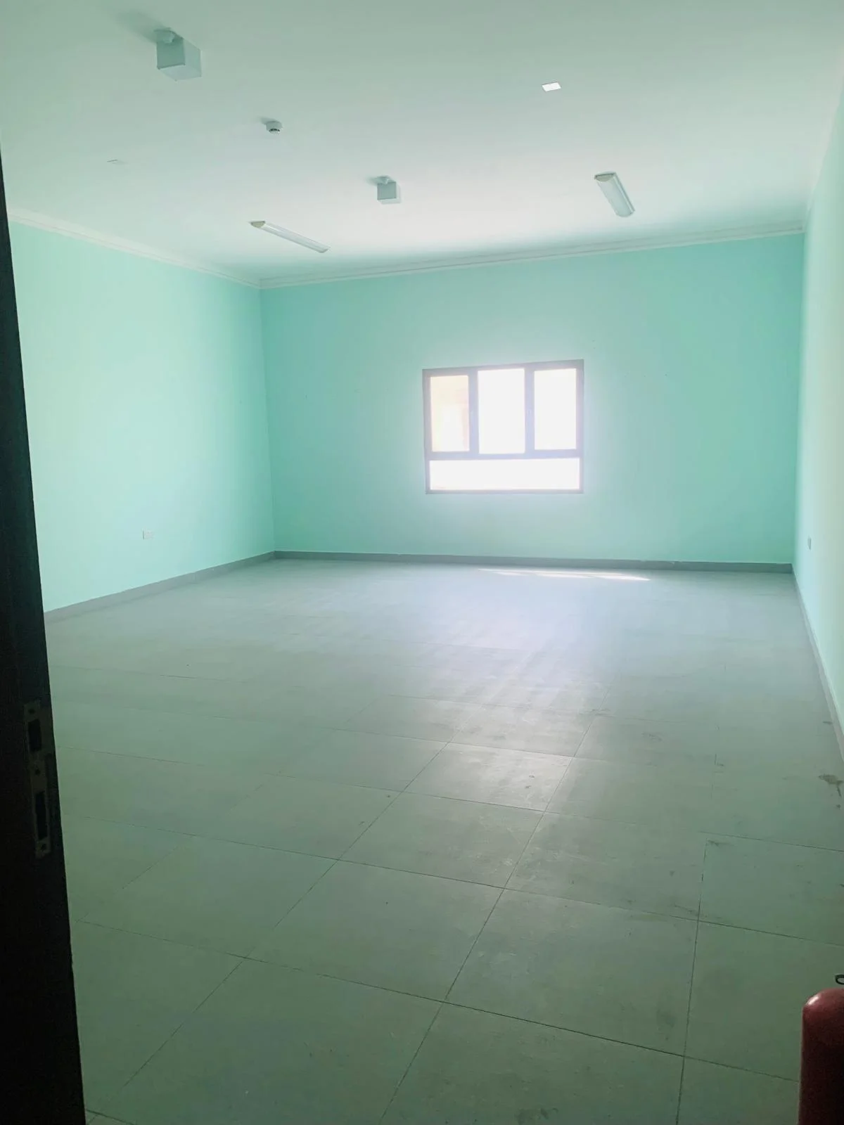 WhatsApp Image 2026-03-26 at 1.10.30 AM